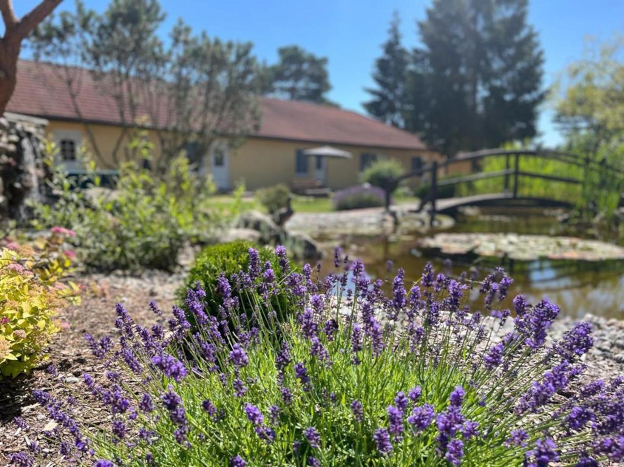 Hotel Pommerscher Hof ツィノヴィッツ エクステリア 写真